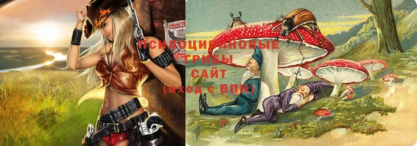 амфетамин Алексеевка
