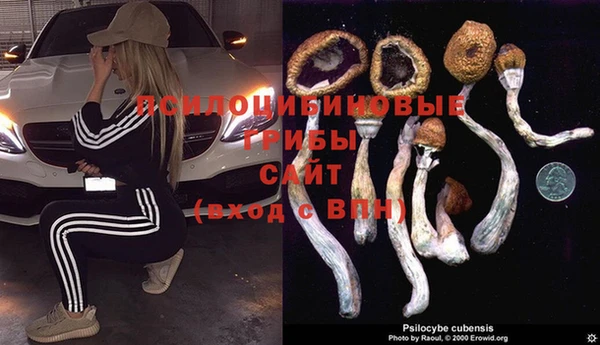 трава Алексин