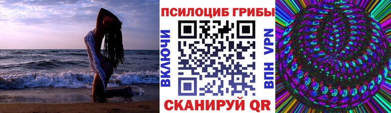 Псилоцибиновые грибы Psilocybe  Ликино-Дулёво 